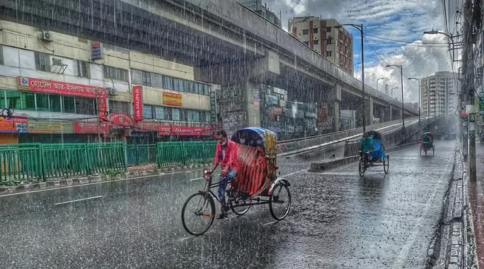 ফাইল ছবি